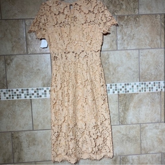 NSR Lace MIDI Cocktail Evening Party Dress S - Picture 3 of 6